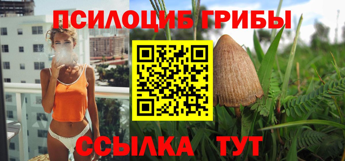 Озёрск  Псилоцибиновые грибы Psilocybine cubensis  Вход с VPN 
